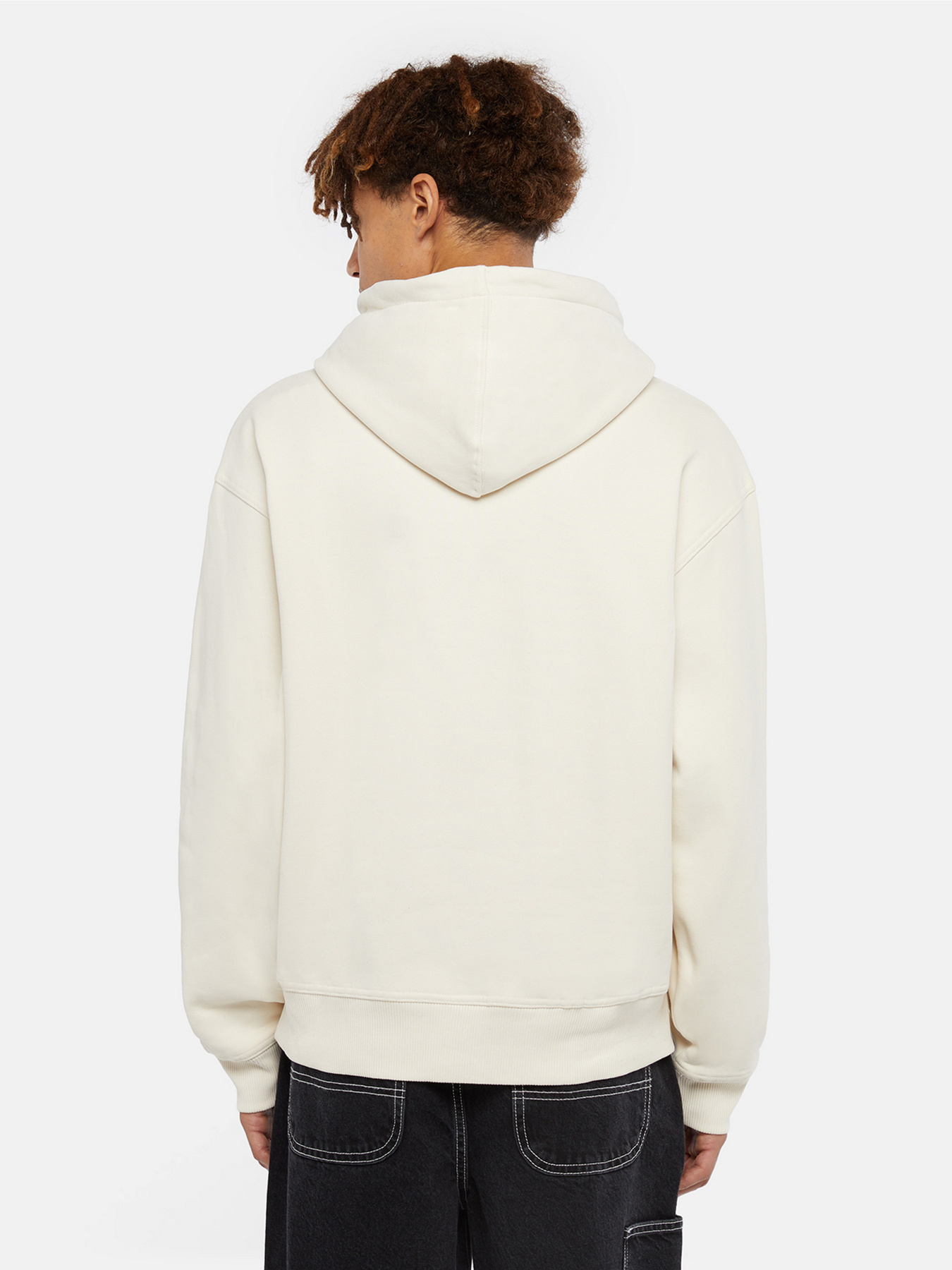 Худи Dickies Enterprise модель DK0A4Z2NF901 Фото