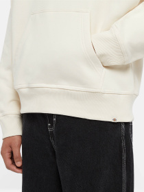 Худи Dickies Enterprise модель DK0A4Z2NF901 Фото