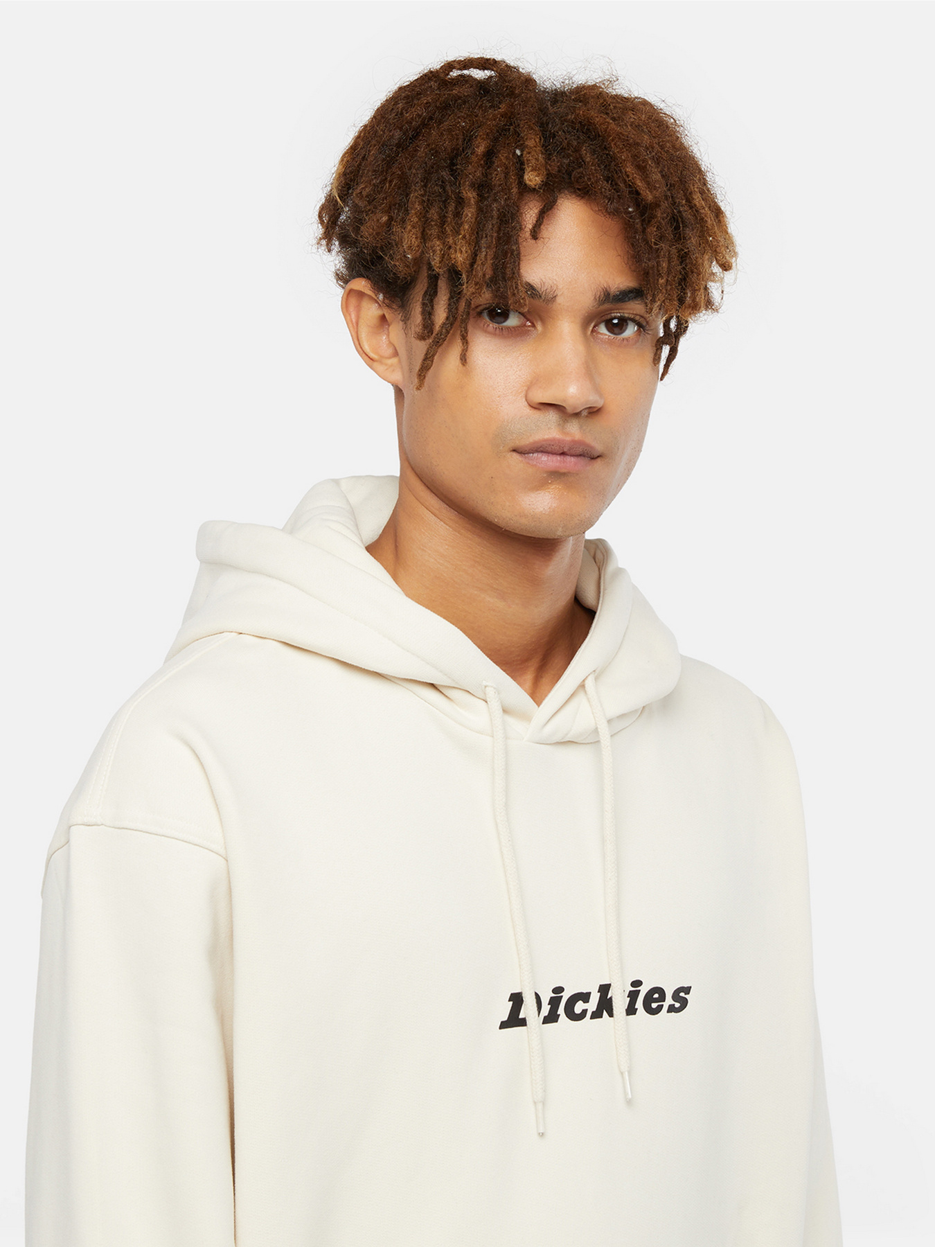 Худі Dickies Enterprise модель DK0A4Z2NF901 Фото