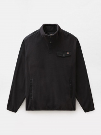 Кофта Dickies Port Allen Fleece модель DK0A4XFSBLK1 Фото