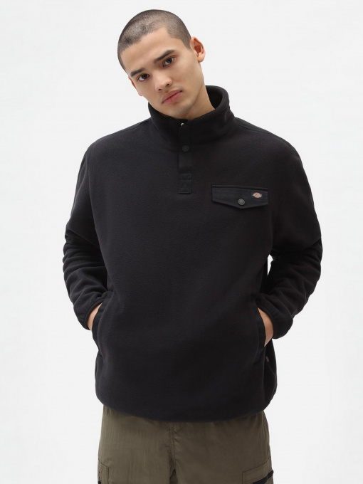 Кофта Dickies Port Allen Fleece Модель DK0A4XFSBLK1 Фото