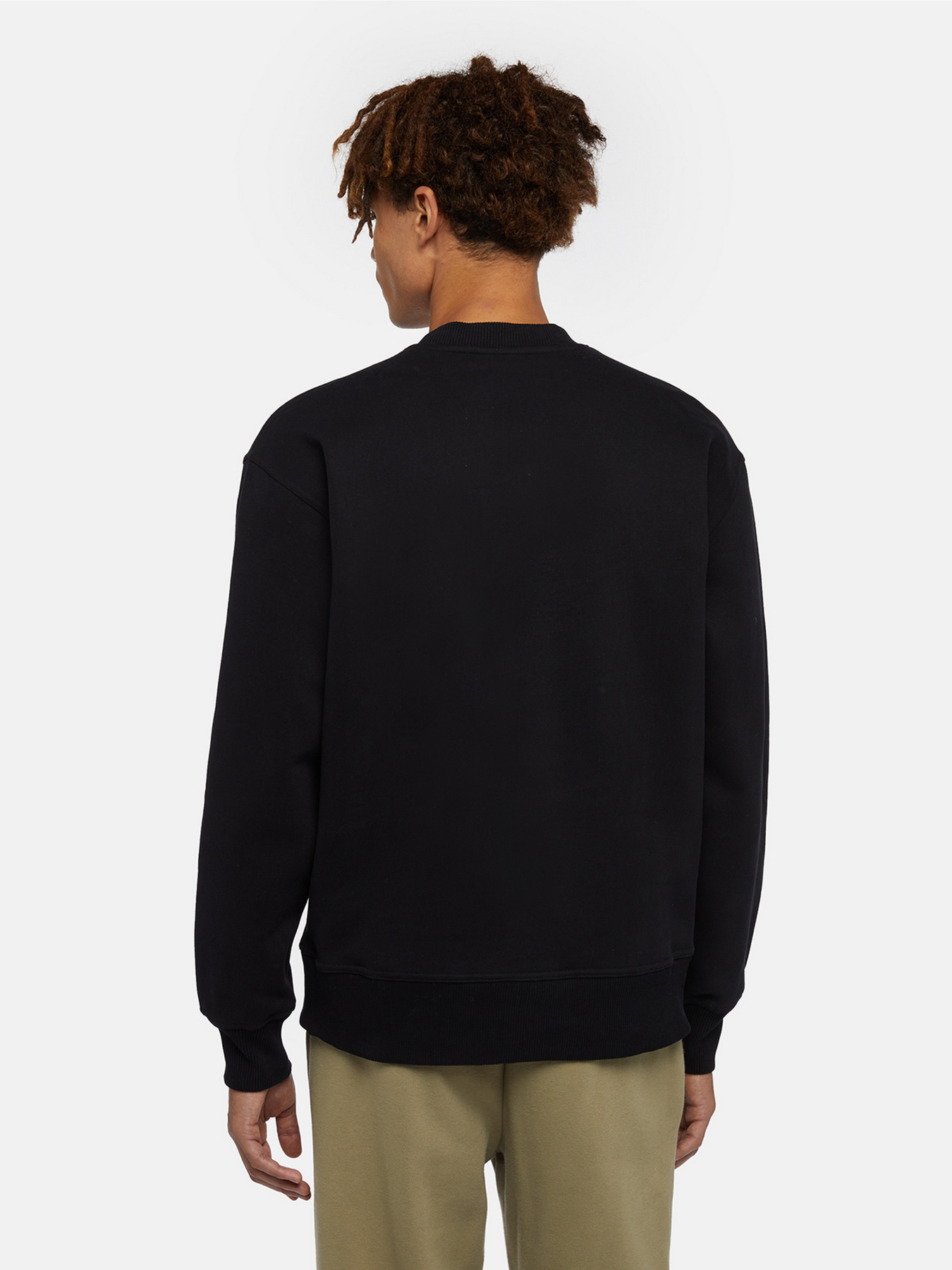 Свитшот Dickies Enterprise модель DK0A4Z4KBLK1 Фото