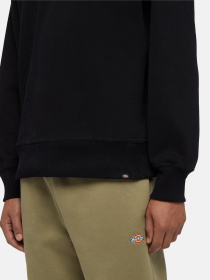 Свитшот Dickies Enterprise модель DK0A4Z4KBLK1 Фото