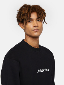 Світшот Dickies Enterprise модель DK0A4Z4KBLK1 Фото