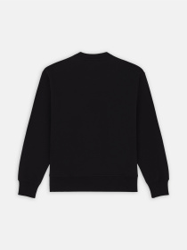 Світшот Dickies Enterprise модель DK0A4Z4KBLK1 Фото