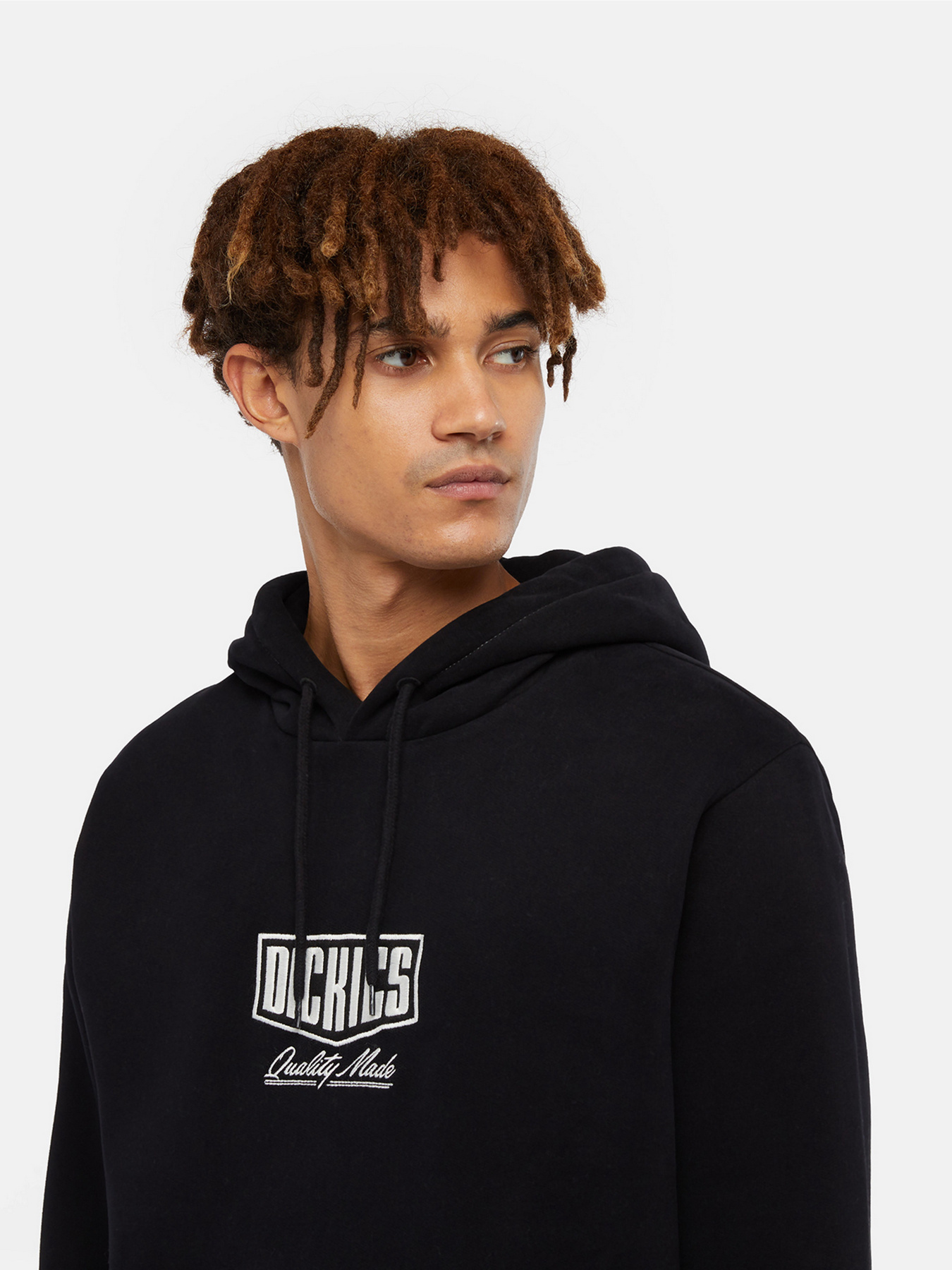 Худи Dickies Philipsburg модель DK0A85SSBLK1 Фото