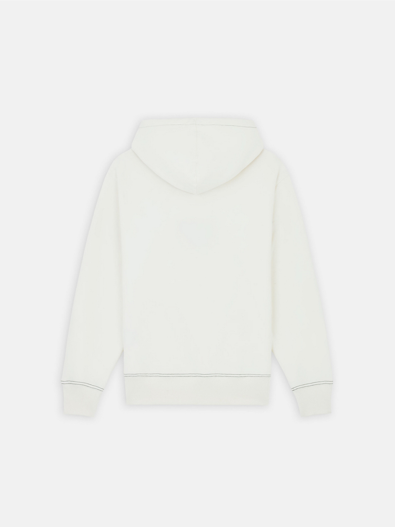 Худі Dickies Philipsburg модель DK0A85SSC581 Фото