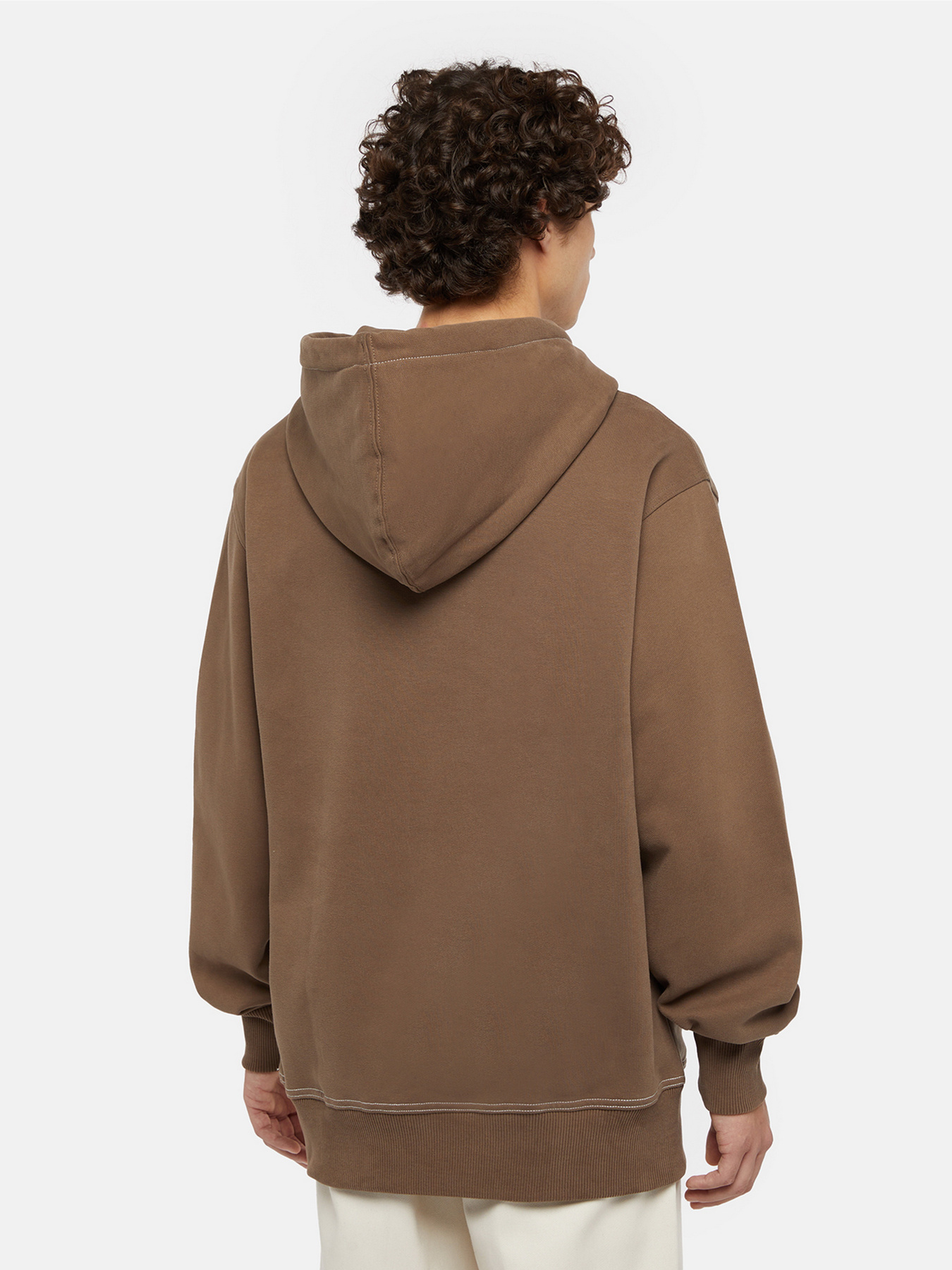 Худі Dickies Philipsburg модель DK0A85SSMR11 Фото