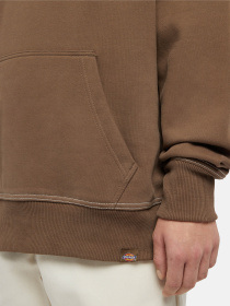 Худі Dickies Philipsburg модель DK0A85SSMR11 Фото