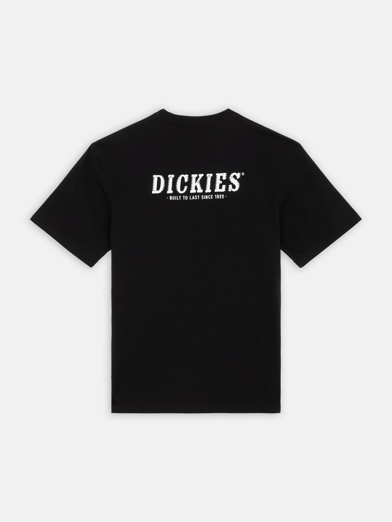 Футболка Dickies Dickies Script модель DK0A863DBLK1 Фото