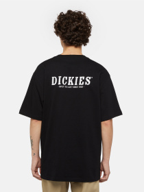 Футболка Dickies Dickies Script модель DK0A863DBLK1 Фото