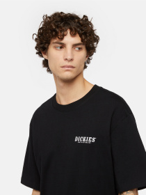 Футболка Dickies Dickies Script модель DK0A863DBLK1 Фото