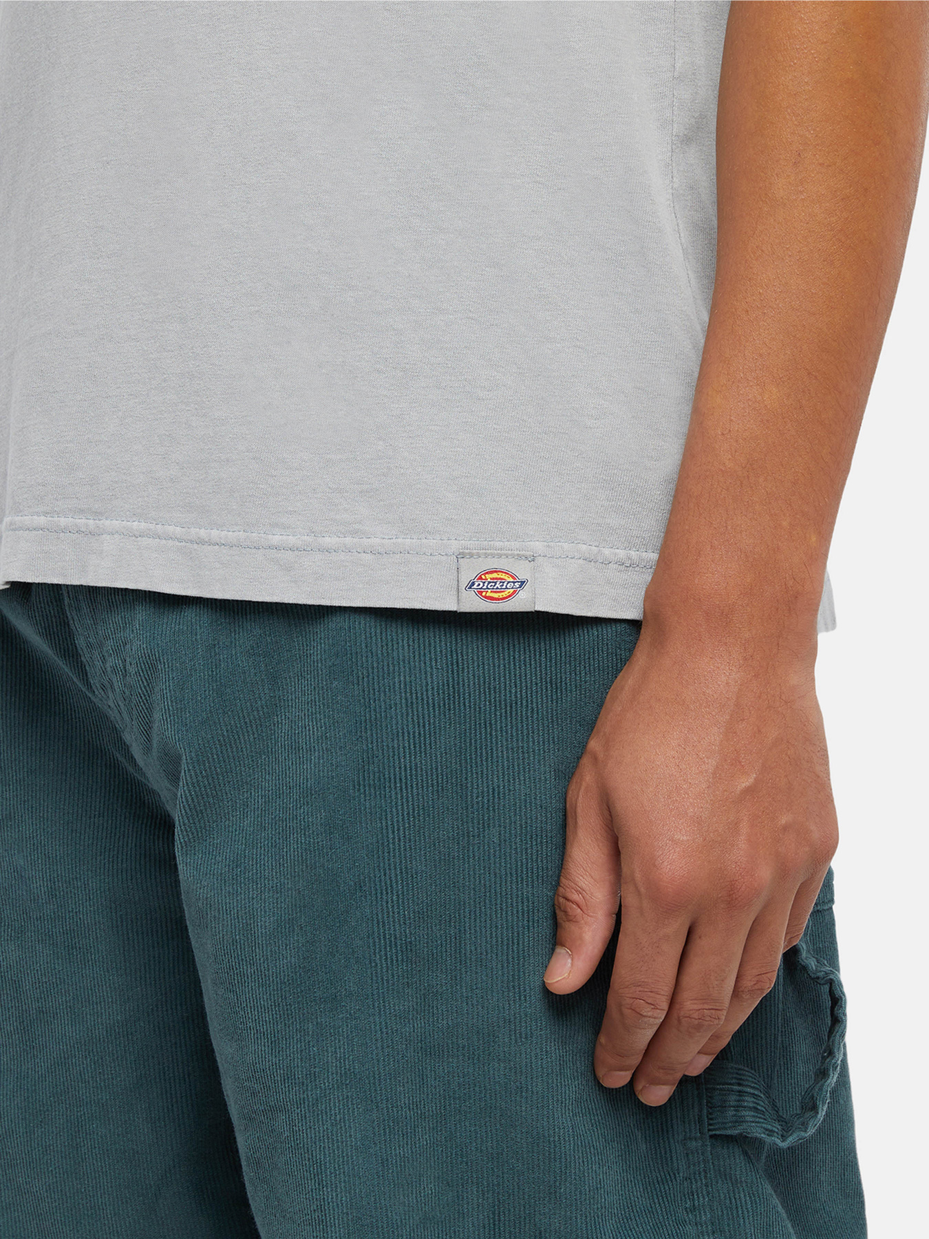 Футболка Dickies Plentywood модель DK0A866BD061 Фото