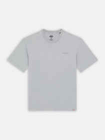 Футболка Dickies Plentywood модель DK0A866BD061 Фото