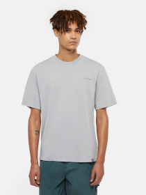 Футболка Dickies Plentywood модель DK0A866BD061 Фото