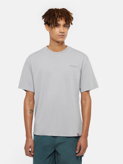 Футболка Dickies Plentywood модель DK0A866BD061 Фото