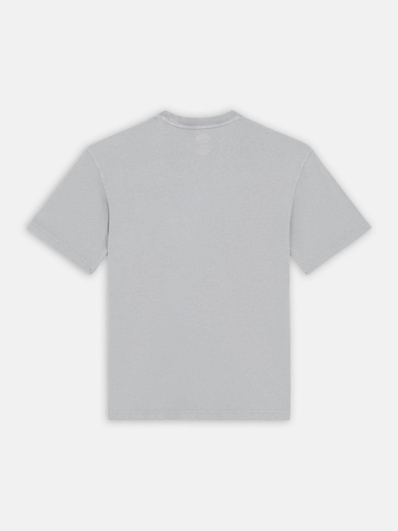 Футболка Dickies Plentywood модель DK0A866BD061 Фото