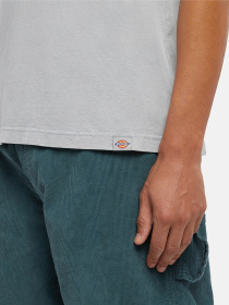 Футболка Dickies Plentywood модель DK0A866BD061 Фото