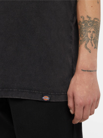 Футболка Dickies Plentywood модель DK0A866BH861 Фото