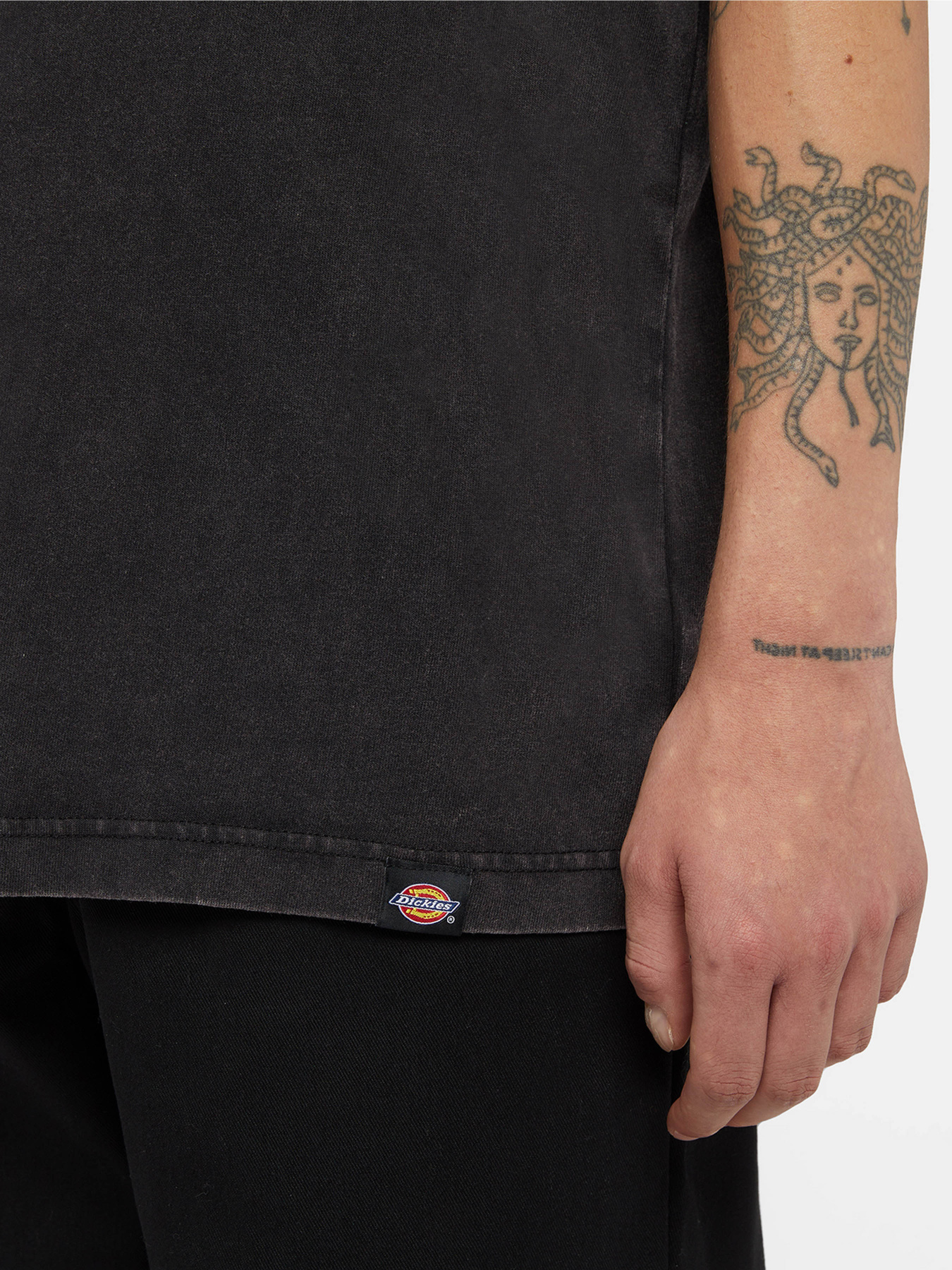 Футболка Dickies Plentywood модель DK0A866BH861 Фото