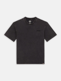 Футболка Dickies Plentywood модель DK0A866BH861 Фото