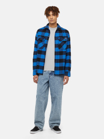 Лонгслив Dickies Plentywood модель DK0A866CD061 Фото