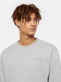 Лонгслив Dickies Plentywood модель DK0A866CD061 Фото