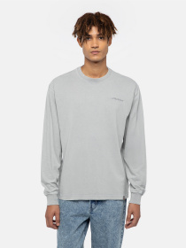 Лонгслив Dickies Plentywood модель DK0A866CD061 Фото