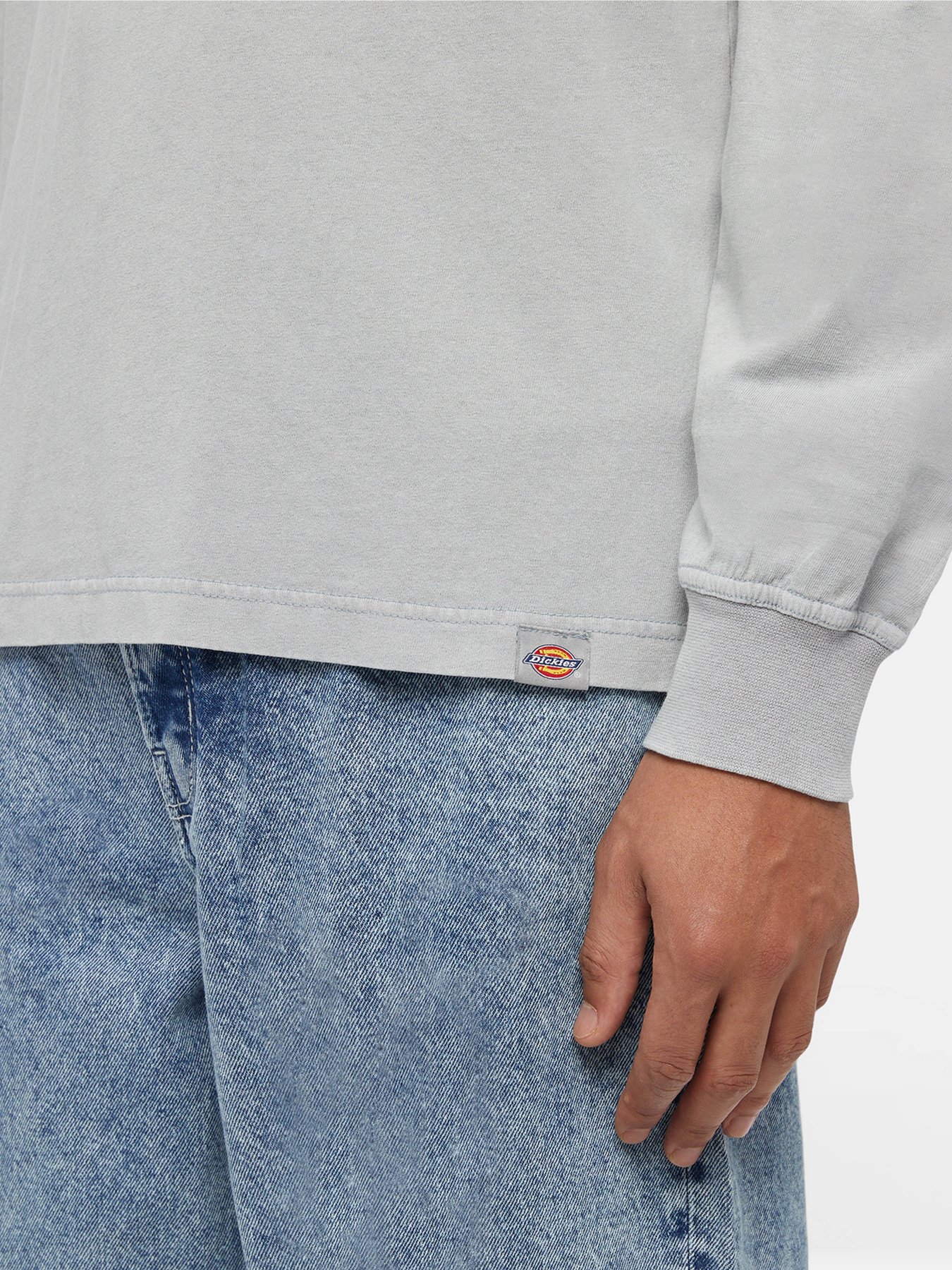 Лонгслів Dickies Plentywood модель DK0A866CD061 Фото