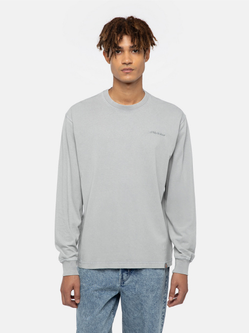 Лонгслів Dickies Plentywood модель DK0A866CD061 Фото