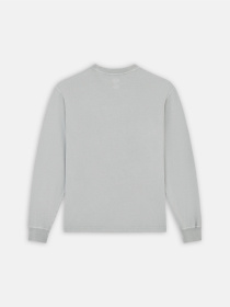 Лонгслів Dickies Plentywood модель DK0A866CD061 Фото