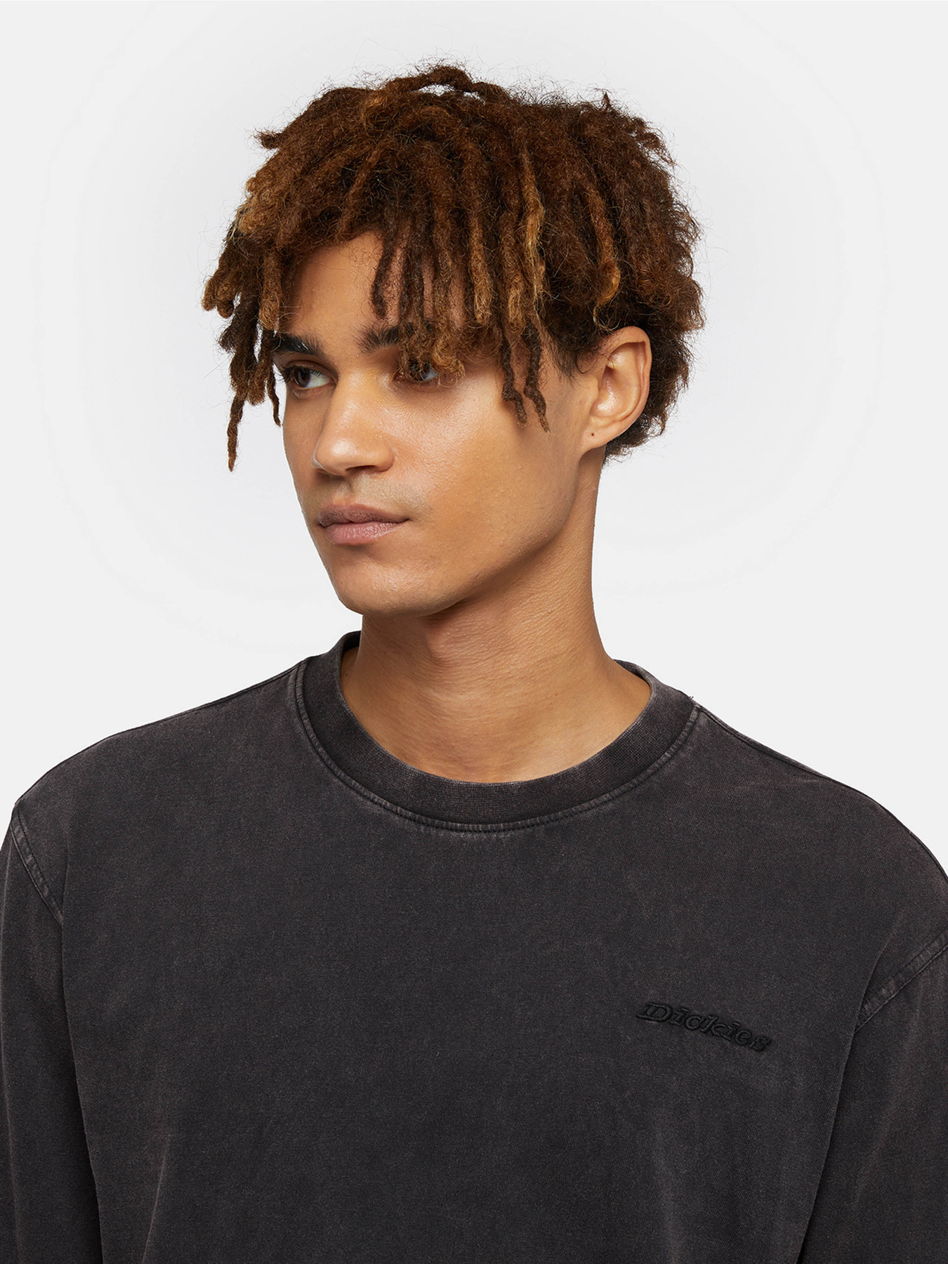 Лонгслив Dickies Plentywood модель DK0A866CH861 Фото