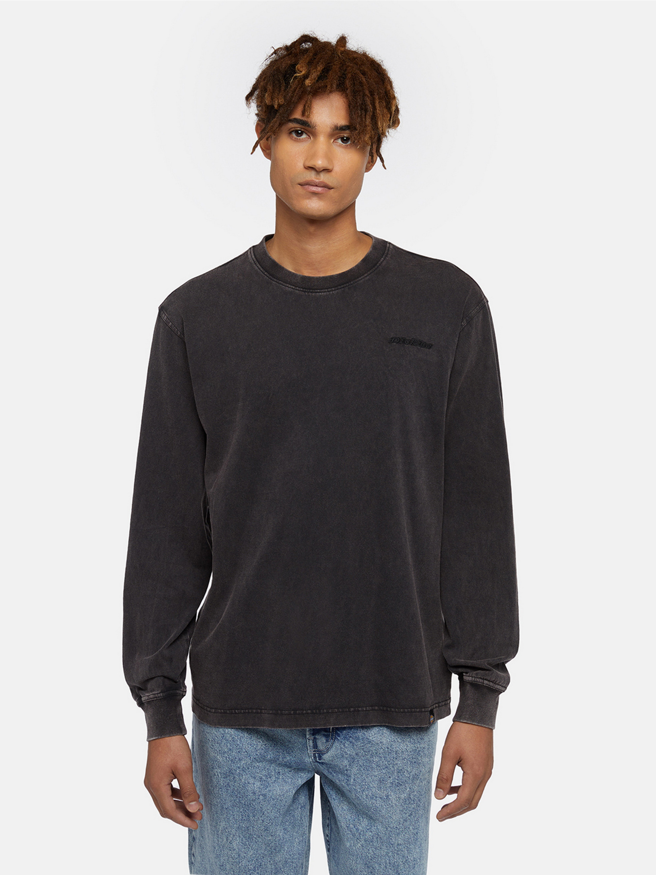 Лонгслив Dickies Plentywood модель DK0A866CH861 Фото