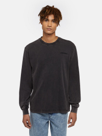 Лонгслив Dickies Plentywood модель DK0A866CH861 Фото