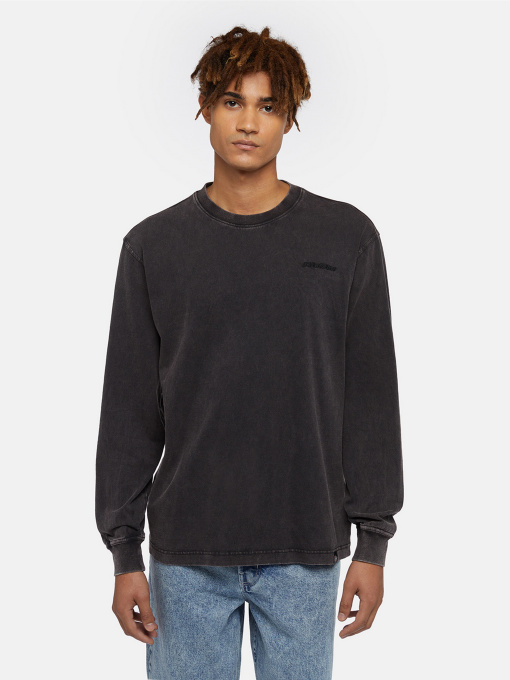 Лонгслив Dickies Plentywood модель DK0A866CH861 Фото