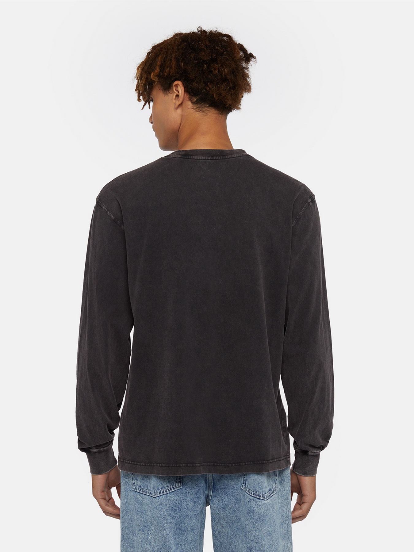 Лонгслів Dickies Plentywood модель DK0A866CH861 Фото