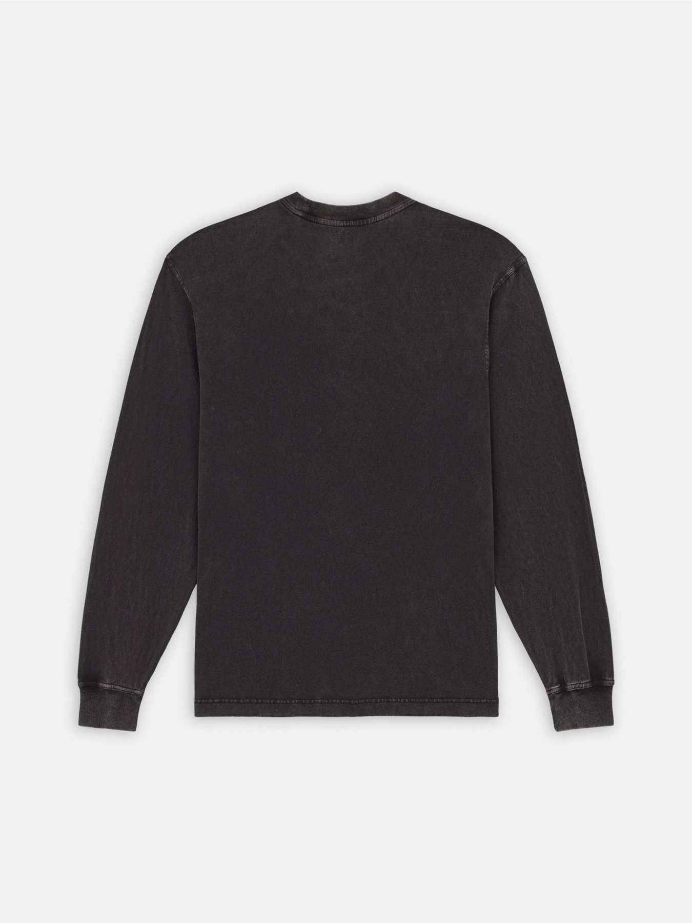 Лонгслів Dickies Plentywood модель DK0A866CH861 Фото