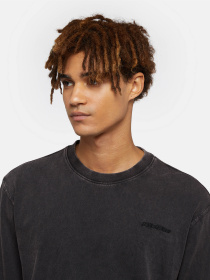 Лонгслів Dickies Plentywood модель DK0A866CH861 Фото