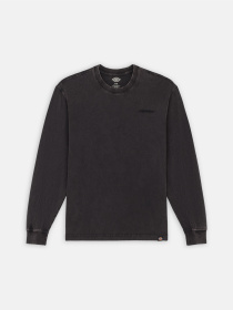 Лонгслів Dickies Plentywood модель DK0A866CH861 Фото