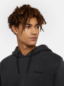 Худи Dickies Plentywood модель DK0A866DBLK1 Фото