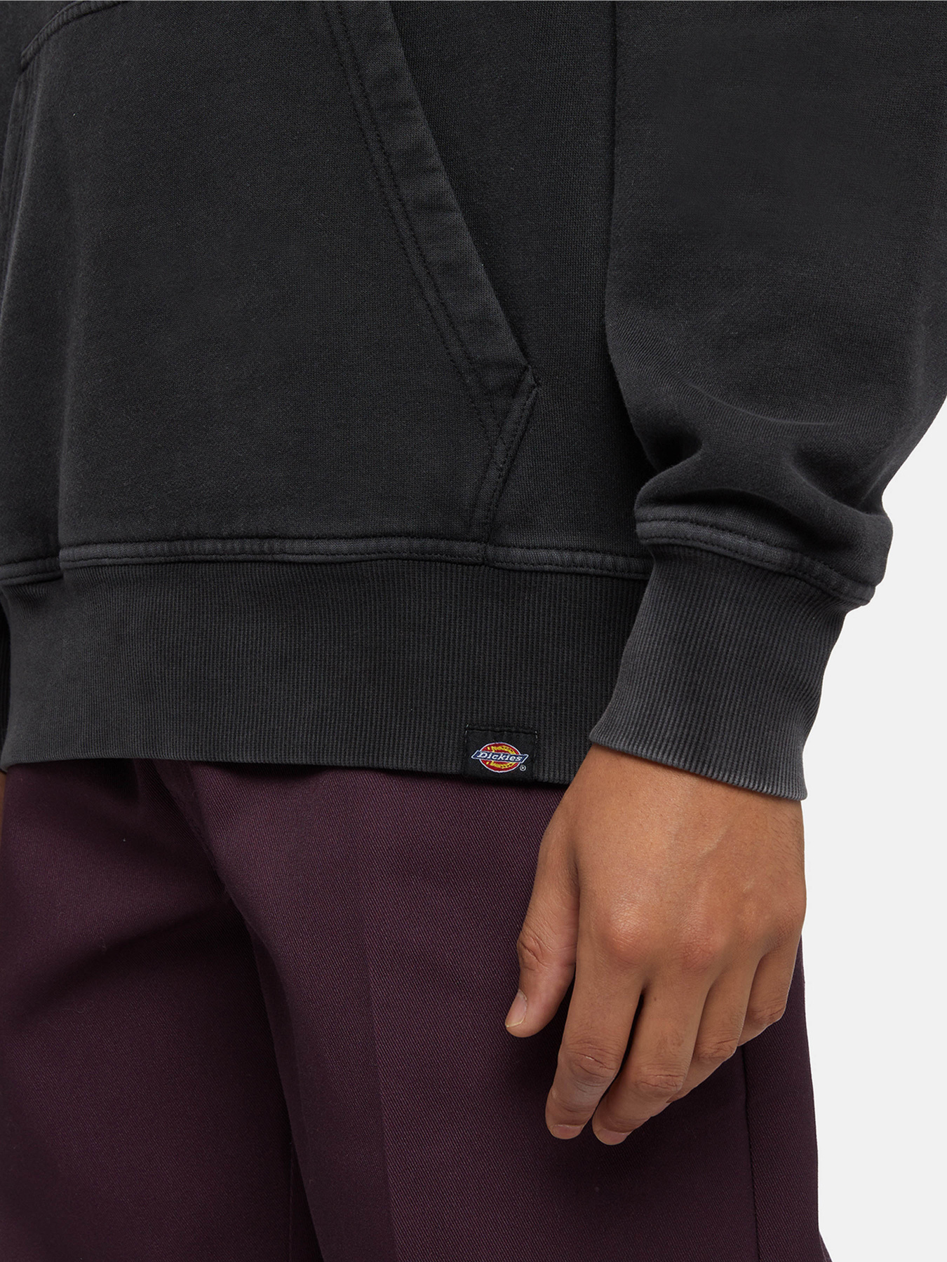 Худі Dickies Plentywood модель DK0A866DBLK1 Фото