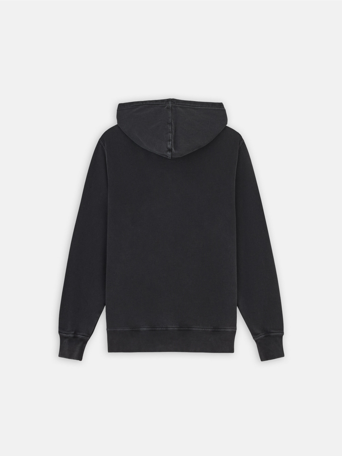 Худі Dickies Plentywood модель DK0A866DBLK1 Фото