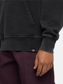 Худі Dickies Plentywood модель DK0A866DBLK1 Фото