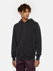 Худи Dickies Plentywood модель DK0A866DBLK1 Фото