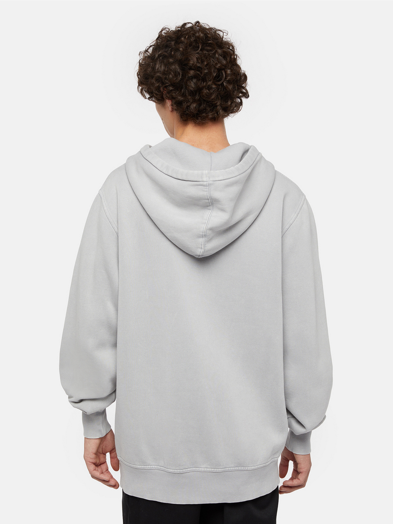 Худи Dickies Plentywood модель DK0A866DD061 Фото