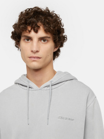 Худи Dickies Plentywood модель DK0A866DD061 Фото