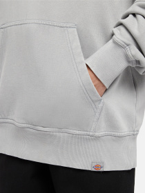 Худи Dickies Plentywood модель DK0A866DD061 Фото