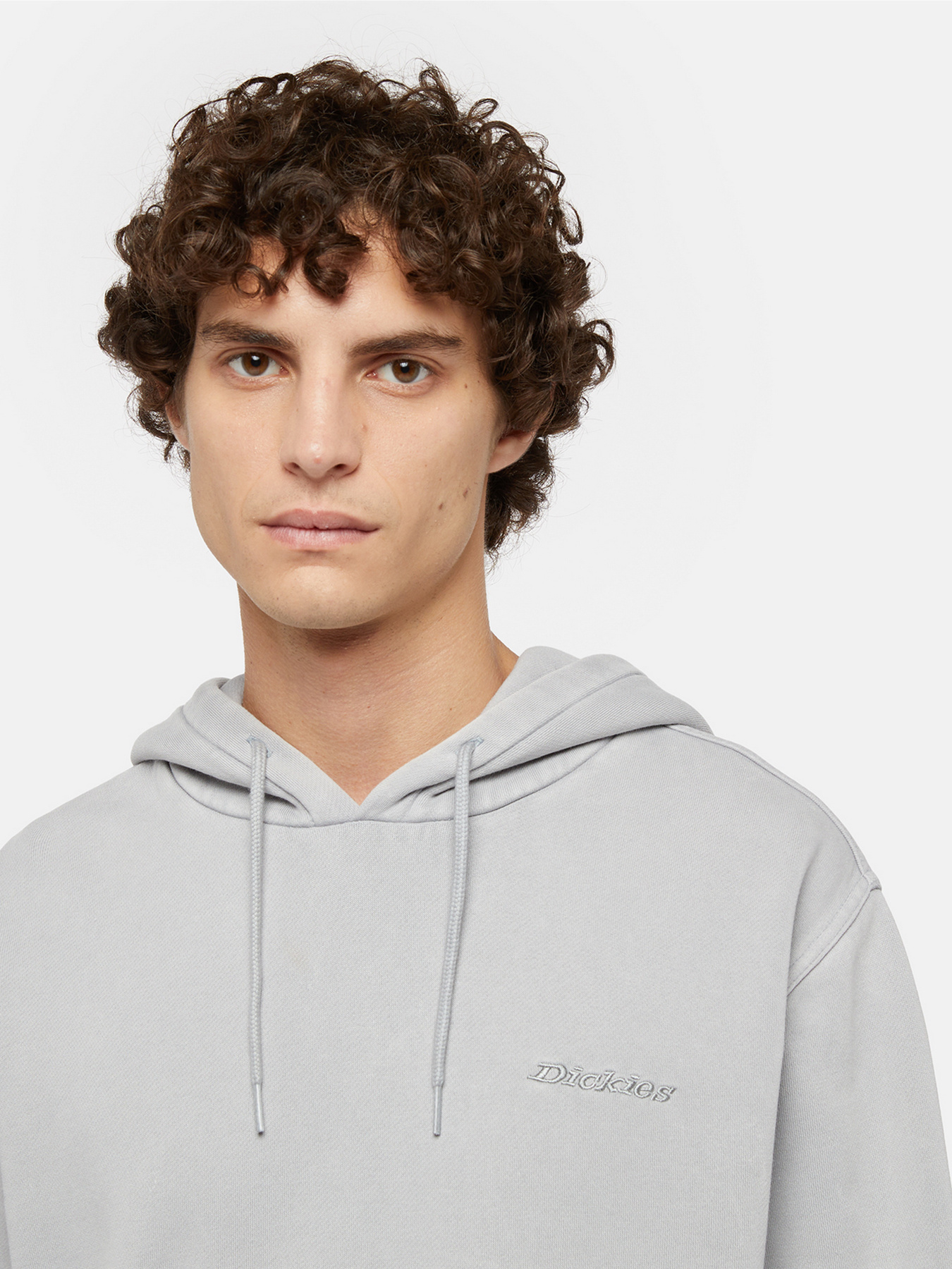 Худі Dickies Plentywood модель DK0A866DD061 Фото