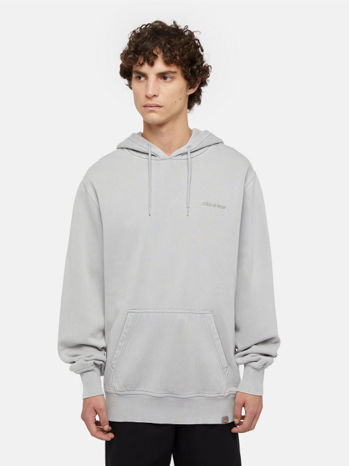 Худі Dickies Plentywood модель DK0A866DD061 Фото