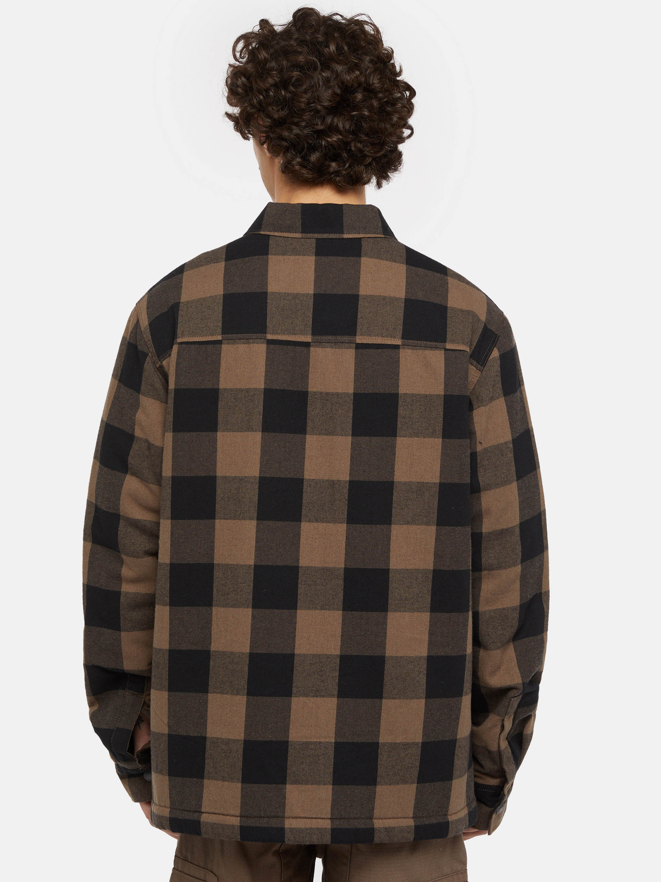 Сорочка Dickies Lined Sacramento Модель DK0A4XGRMR11 Фото